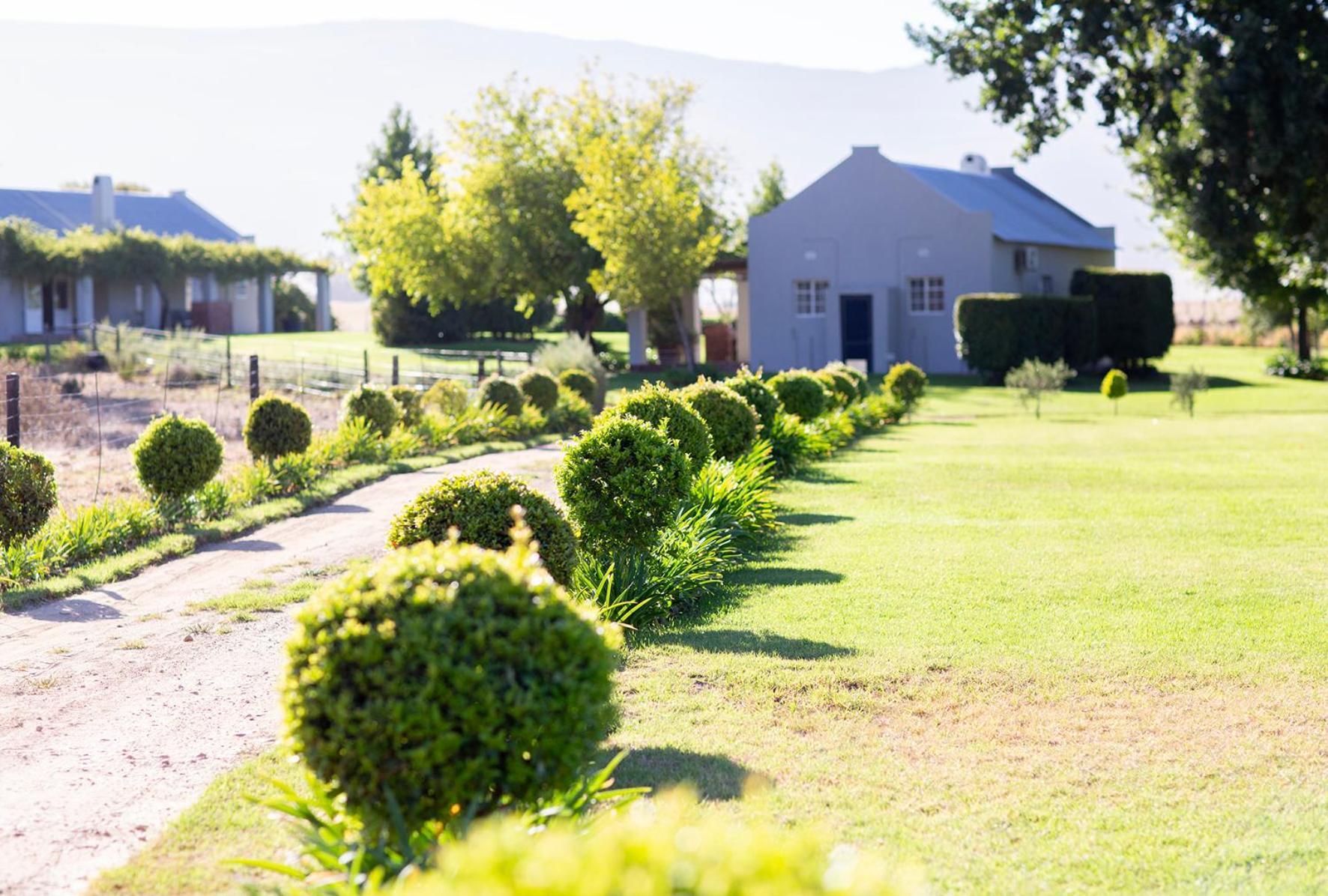 Saronsberg Vineyard Cottages Tulbagh Exterior photo